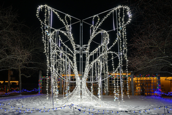 2022 Winter Lights_Todd Mulvihil_2009