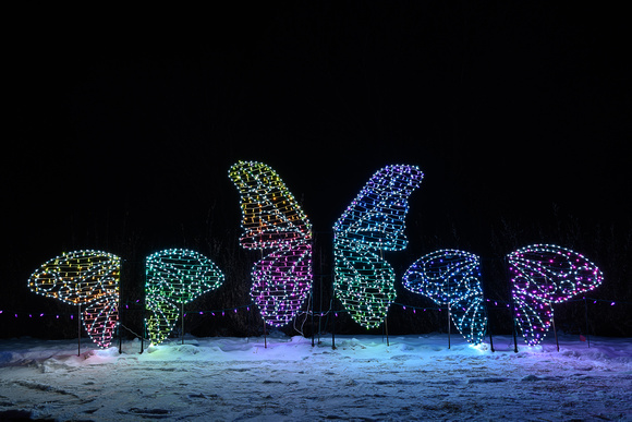 2022 Winter Lights_Todd Mulvihil_2027