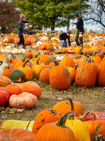 Pumpkins/Gourds  for Sale at the AppleHouse
