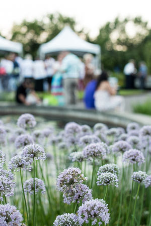 2015 Taste & Toast