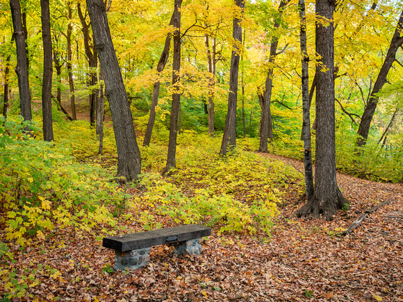 Wood Duck Trail in the Fall