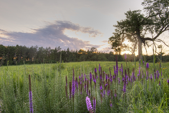 Prairie Sunset 2