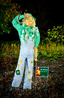 Pumpkin Palooza 2011