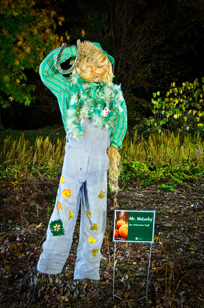 Pumpkin Palooza 2011