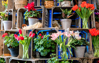 2023 Flower Show