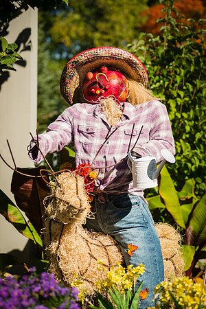 Scarecrows in the Garden 2014