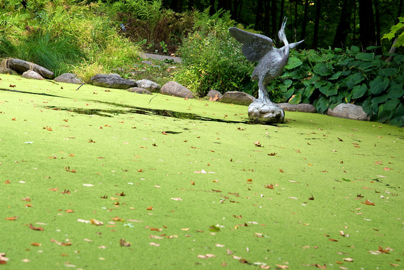 Blue Heron in the Clearing I