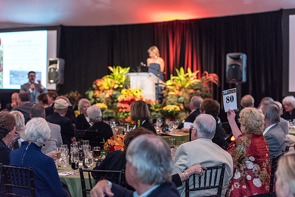 2015 Gala in the Gardens