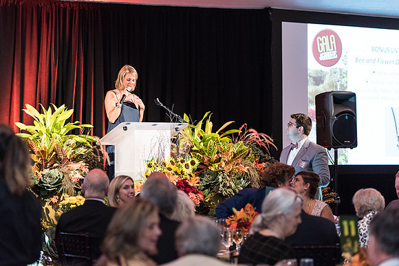 2015 Gala in the Gardens