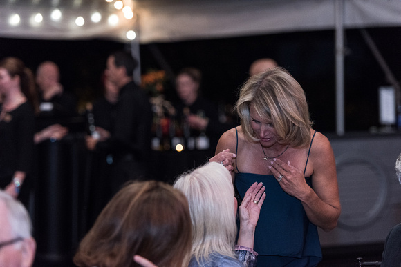2015 Gala in the Gardens