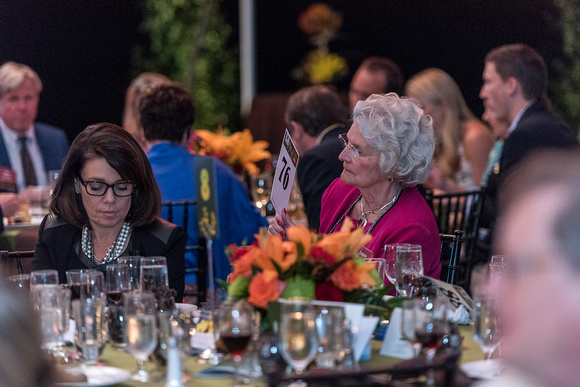 2015 Gala in the Gardens