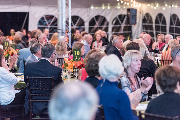 2015 Gala in the Gardens