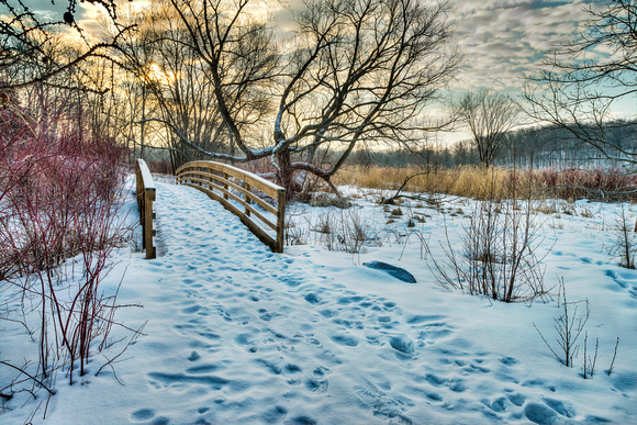 Fresh March Snow