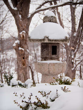 Japanese Garden in winter