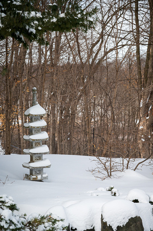 2023 Japanese Garden_Todd Mulvihill_3244