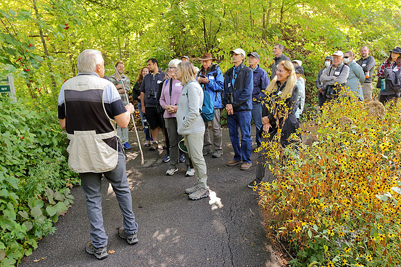 2022 Mushroom Walk With Matt