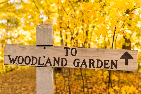 To the Woodland Garden