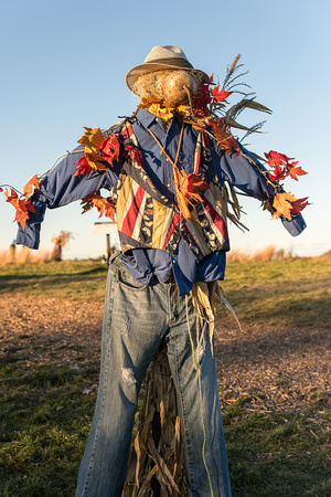 Scarecrow Village
