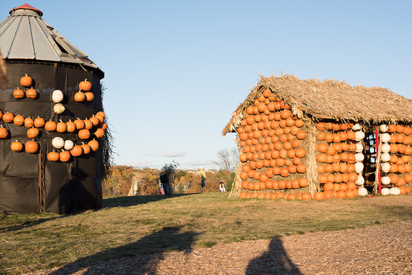 Scarecrow Village