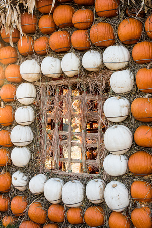 Gourds Galore