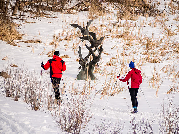 Skiiing by Green Heron Pond