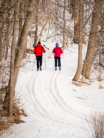 Cross-country skiing