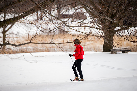 Snowshoeing by the prairie garden