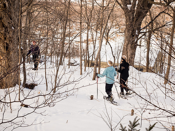 Snowshoeing on the Wood Duck trail