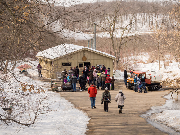 Spring sugarhouse activity