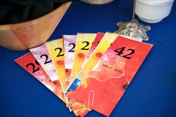 Gala in the Gardens 2013