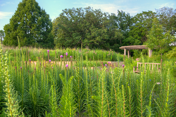 Prairie Garden 1