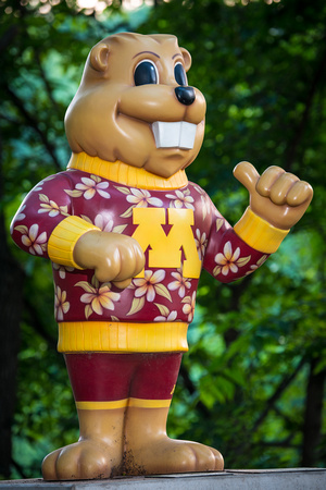 Gophers in the Garden