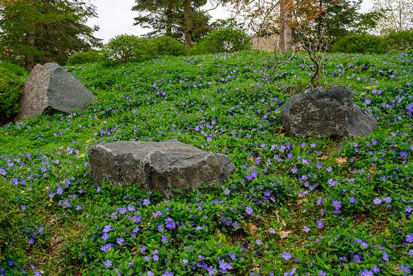 2023 Japanese Garden_Todd Mulvihill_2439