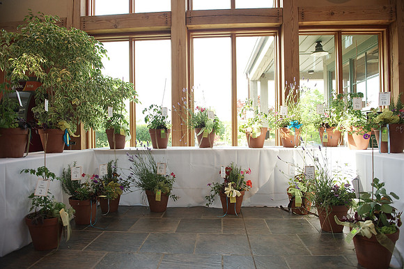 Gala in the Gardens 2013