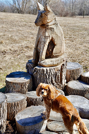 ArboretumDogWalkApril2024_BonnieRonning.01