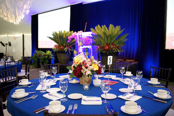 Gala in the Gardens 2013