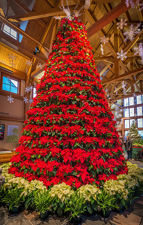 Making Spirits Bright 2015.