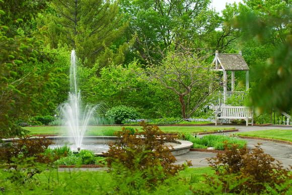 Perennial Garden in Spring