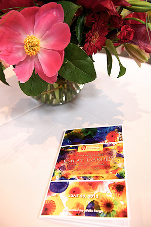 Gala in the Gardens 2013