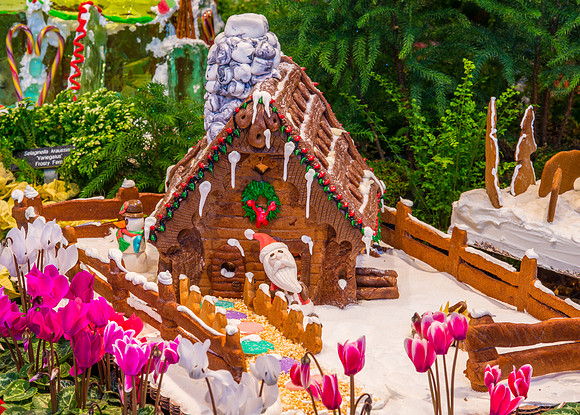 Land of Gingerbread-Edelweiss Bakery.