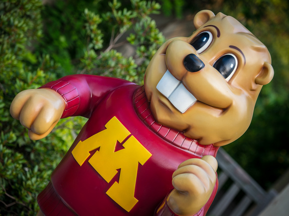 Gophers in the Garden