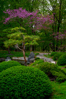 Japanese Garden