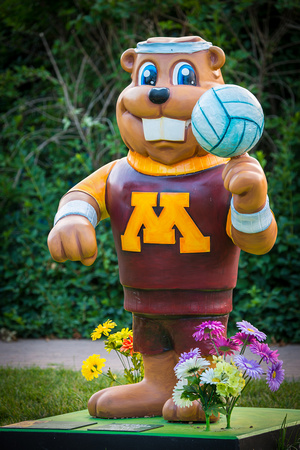 Gophers in the Garden