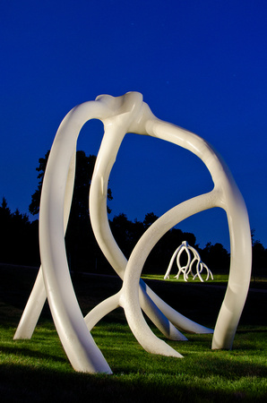 SteelRoots Within SteelRoots at Night