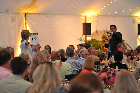 2016 GitG_Todd Mulvihill_440