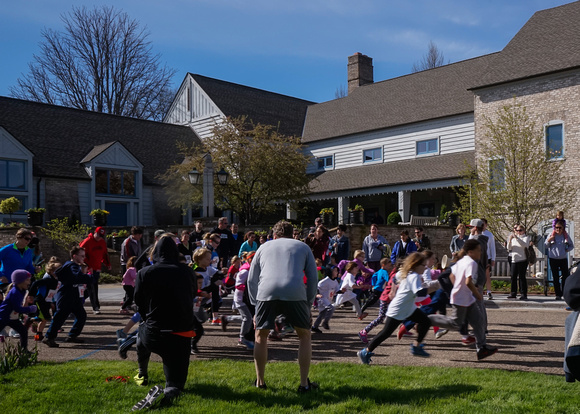 Daffodil Dash Start