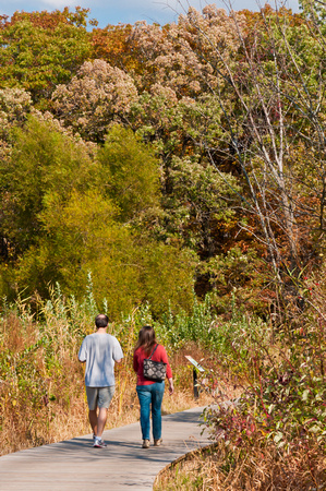 Bog boardwalk