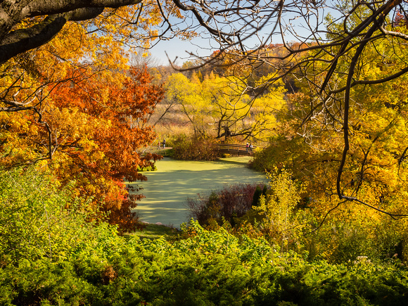 Visitors walking along Bog Trail in Fall