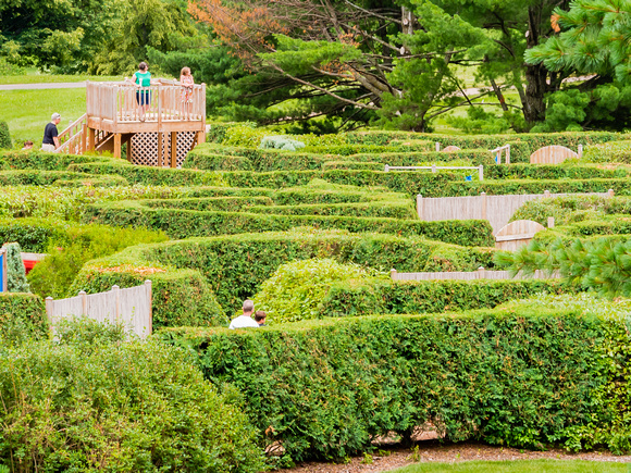 Navigating the Maze Garden