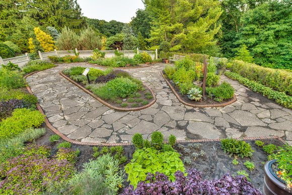 The Kitchen Herb Garden
